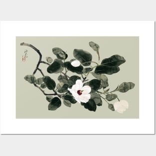 Flowering Magnolia Branch Posters and Art